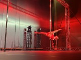 Zawody Pole Dance Show wystartowały! W Targach Kielce trwają występy dzieci, kobiet, a nawet mężczyzn