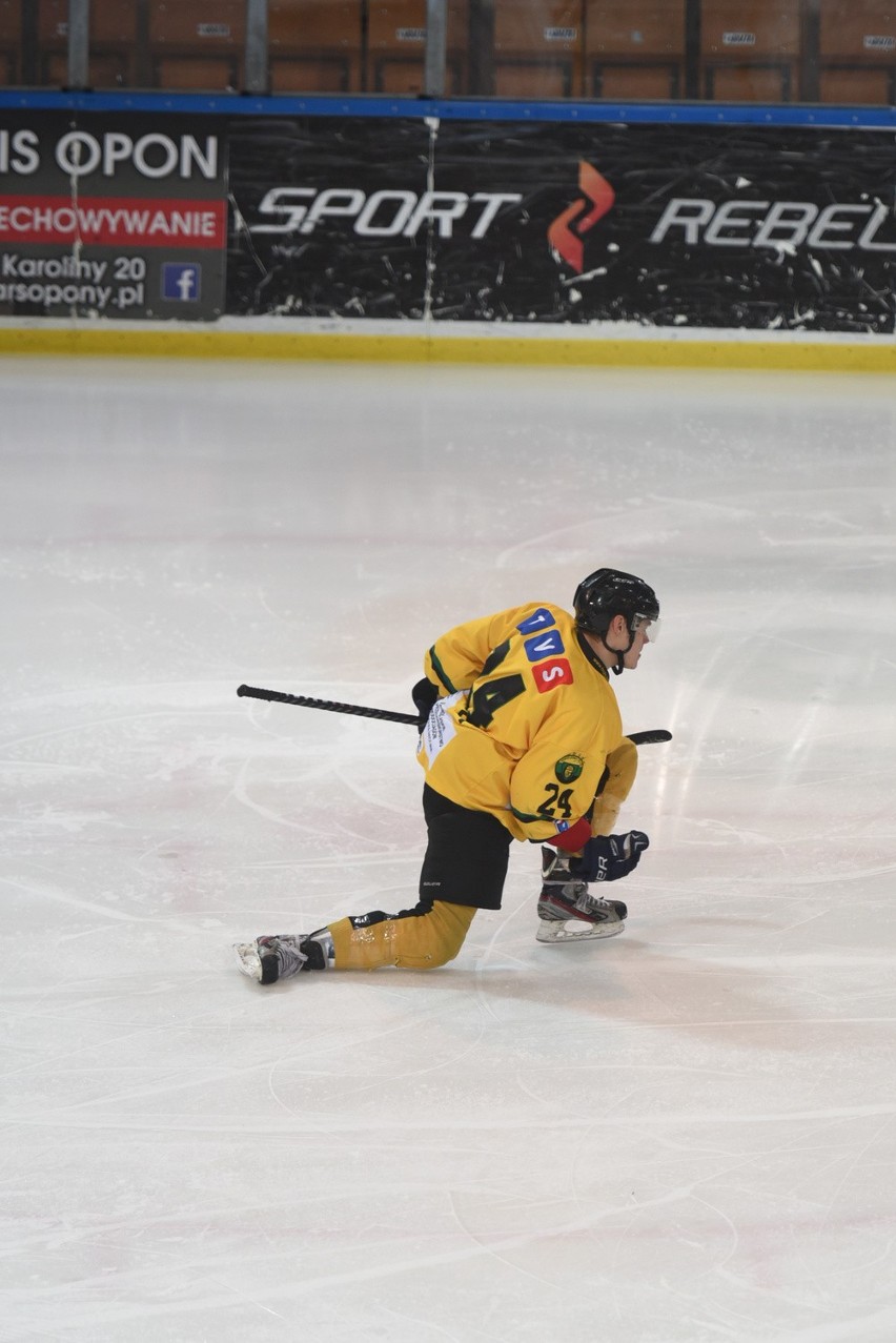 Hokej na lodzie: HC GKS Katowice - Naprzód Janów 4:6