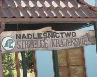 Nadleśnictwo Strzelce.