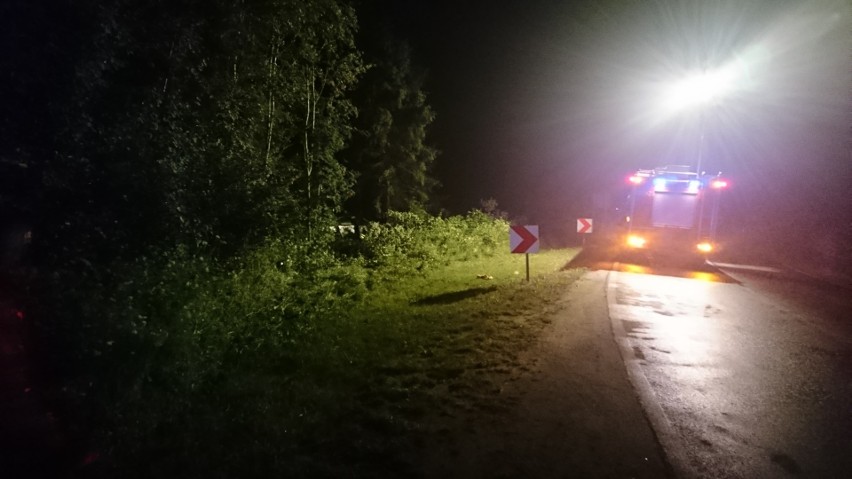 Podhale. Samochód wypadł z drogi i uderzył w drzewo. Jedna osoba w szpitalu [ZDJĘCIA]