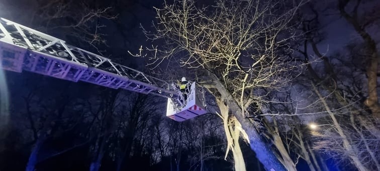 Wichura w Koszalinie i regionie. Połamane drzewa, przerwy w dostawie prądu. W środę znów powieje [ZDJĘCIA]