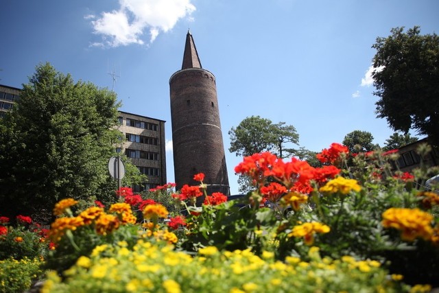 Urzędnikom się spieszy, bo niebawem rusza remont Wieży Piastowskiej i dobrze byłoby, aby koncepcja zagospodarowania Ostrówka była spójna z projektem zagospodarowania terenu wokół zabytku.