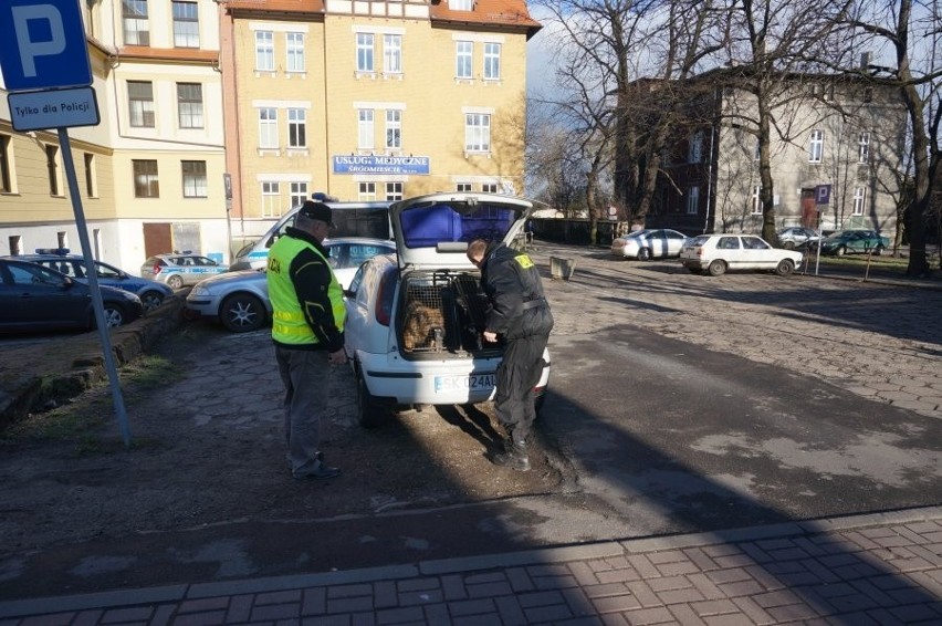 Alarm bombowy w Tarnowskich Górach. Zamachowiec zatrzymany [ZDJĘCIA]