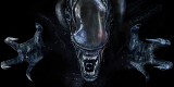 Alien: Covenant. W sieci jest nowy trailer [OBCY, WIDEO]