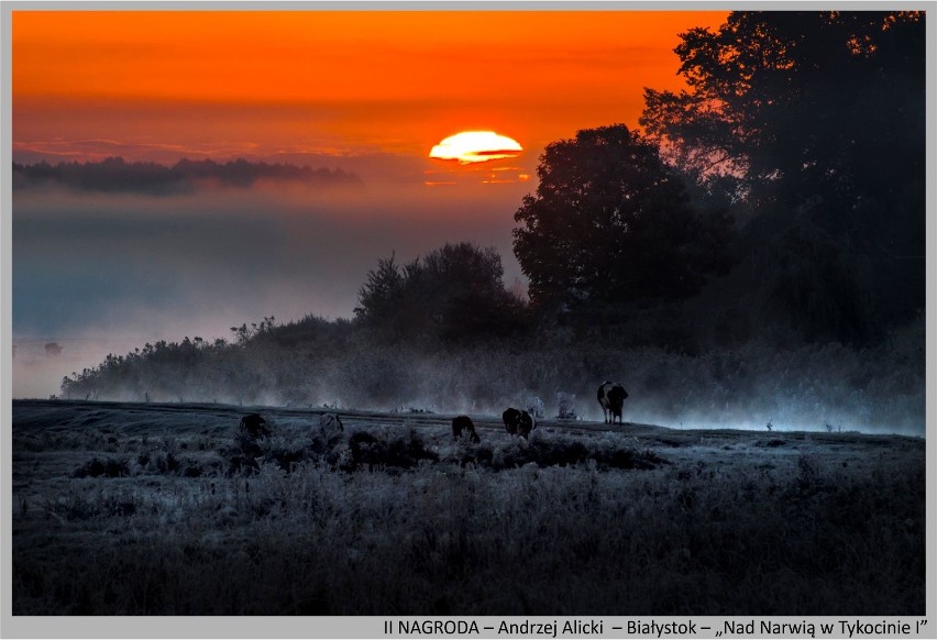 PIK. Konkurs fotograficzny Od świtu do zmierzchu. II nagroda...