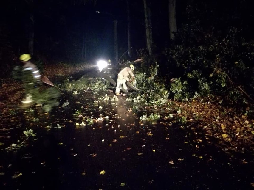 Pogoda nad morzem. Co nas czeka w najbliższych dniach? [WIDEO, KAMERKI, MAPY]