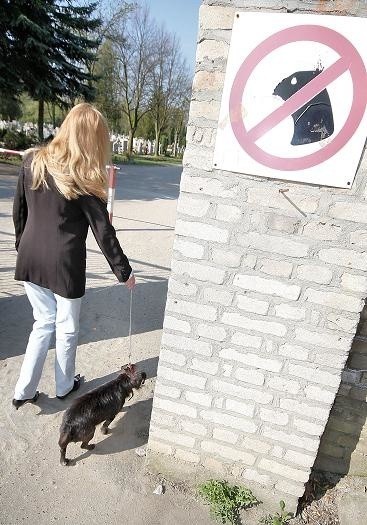 Gorzowianie lekceważą zakaz wprowadzania psów na cemntarz