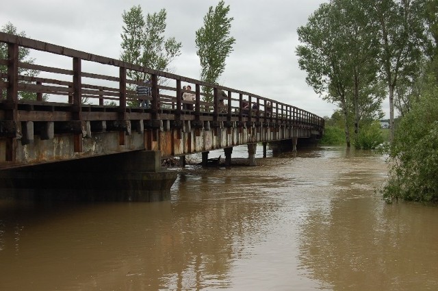 Woda w Mleczce i Wisłoku stale przybiera. W gminie Tryńcza zagrożone jest kilka kładek i mostów.