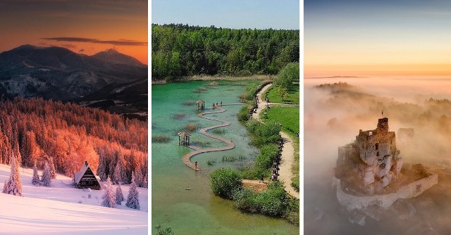 Tereny przyrodnicze w Śląskiem na fotografiach internautów prezentują się przepięknie i stanowią obraz niezwykle malowniczych zakątków naszego regionu. Zdjęcia, wykonane przez użytkowników sieci ukazują rozmaite formy naturalnego krajobrazu – począwszy od miejskich parków przez lasy oraz łąki, rozległe przestrzenie na Szlaku Orlich Gniazd, aż po górskie polany, szlaki i szczyty.