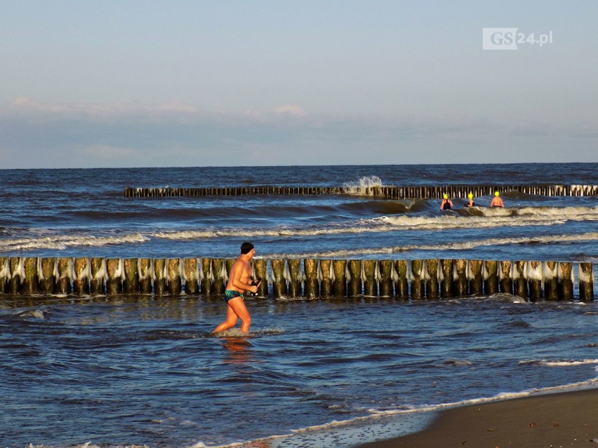 Tłumy spacerowiczów i... morsów na plaży w Dziwnówku. Zobacz zdjęcia!