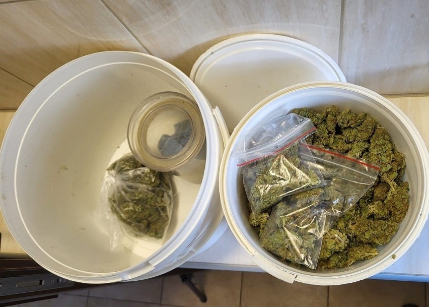 Blisko 500 gramów marihuany znaleziono u mężczyzny, który...