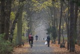 W Toruniu będzie coraz zimniej! Jak przetrwać jesień? Radzą meteorolog i lekarz