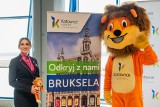 Brak pomysłów na weekend? Linia lotnicza Wizz Air uruchomiła połączenie z Katowice Airport do Brukseli Charleroi. Ceny biletów zachęcają!