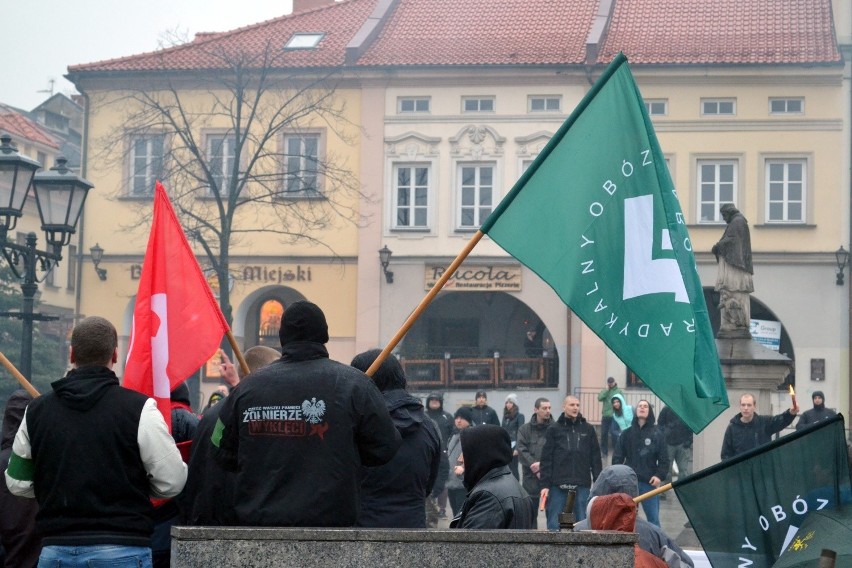 Manifestacja antyimigracyjna w Bielsku-Białej