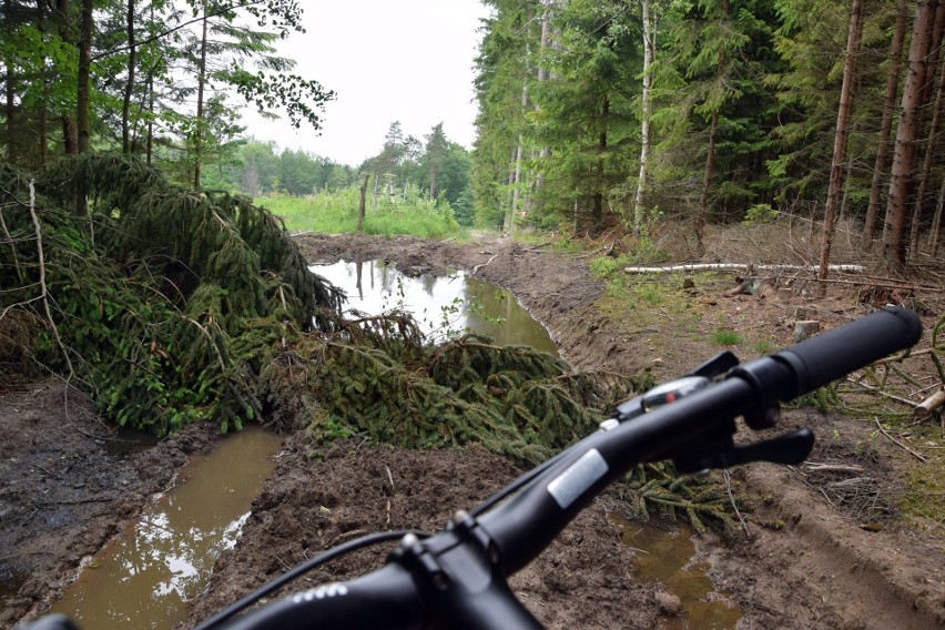 Szlak pieszy i rowerowy Wołcza Wielka - Bobięcino oraz...