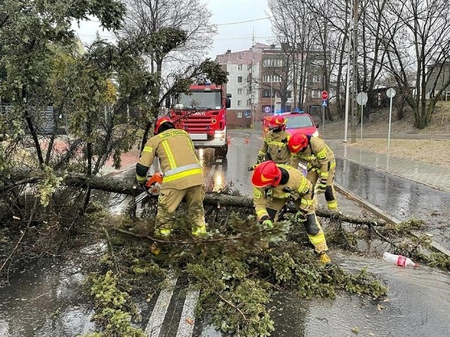 Orkan Eunice przeszedł przez woj. śląskie. Prawie 2000 interwencji straży pożarnej: złamane drzewa, zerwane dachy.Zobacz kolejne zdjęcia. Przesuwaj zdjęcia w prawo - naciśnij strzałkę lub przycisk NASTĘPNE