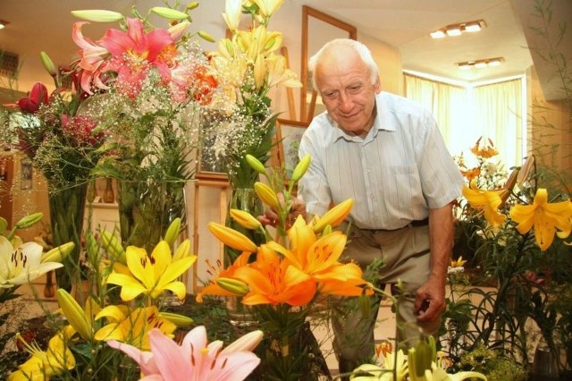 -	W tym roku moje lilie pięknie urosły - chwalił, prezentując swoje okazy Zdzisław Krzywicki z ogródków działkowych imienia Stefana Żeromskiego w Kielcach.
