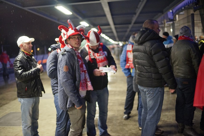 Polska - Serbia: Byłeś na meczu? Znajdź się na zdjęciach