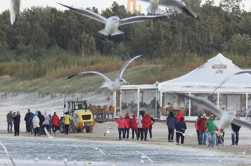 Kilkumetrowe fale zabrały połowę świnoujskiej plaży [ZDJĘCIA]