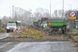 Spór o wycinkę drzew na Kurlandzkiej trwa. Mieszkańcy po raz kolejny zawiadamiają policję, a miasto dalej prowadzi swoje prace