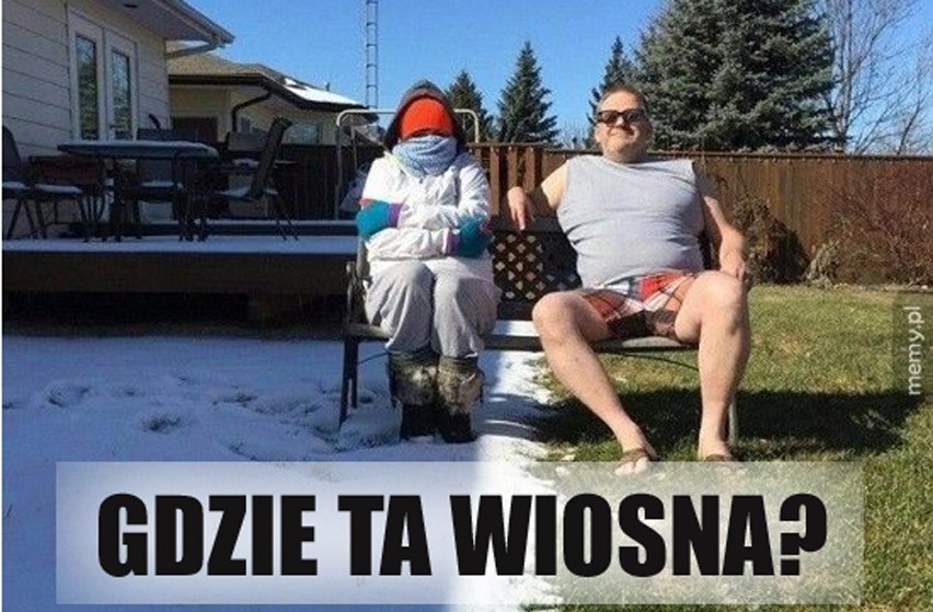 Najlepsze MEMY o wiośnie. Zobacz, jak Internauci żartują z...