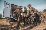 Żołnierze 12 Szczecińskiej Dywizji Zmechanizowanej obierają nowy kierunek - Rumunię. To pierwsza misja "Dwunastki" w tej części Europy