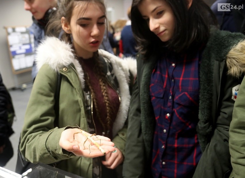 Noc Biologów w Szczecinie. Można zobaczyć pajęczaki, węże i owady [WIDEO]