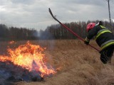 Strażacy znowu gaszą łąki i nieużytki w powiecie lipskim i zwoleńskim