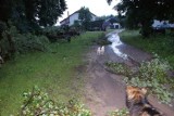 Rafałówka niemal zdmuchnięta z powierzchni. Trąba powietrzna nad kolonią (zdjęcia)