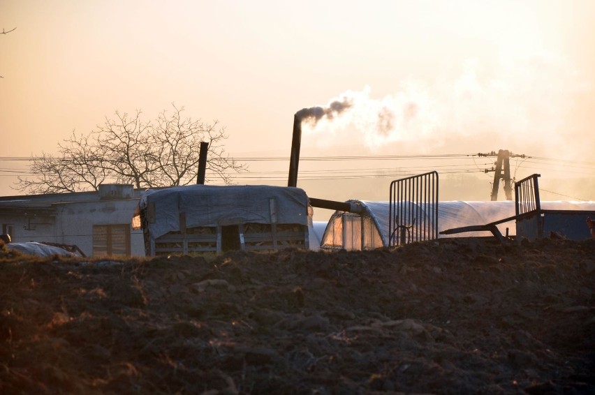 Będzie nowy program ochrony powietrza w Małopolsce. Jakie czekają nas zmiany?