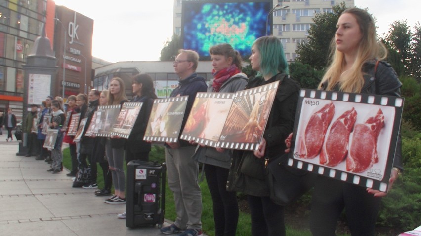 Protest Basty w Szczecinie. Tak cierpią zwierzęta [WIDEO]