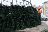 Orszak świętych Mikołajów przejdzie przez Kielce. W grudnie wiele innych świątecznych atrakcji w mieście. Zobacz zdjęcia