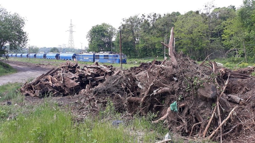 Prace przy Szczecińskiej Kolei Metropolitalnej. Rozebrali bocznicę i jeden tor 