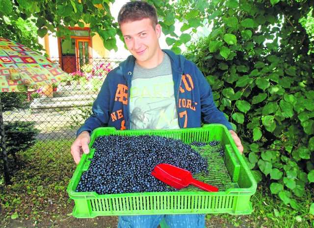 Józef Foks uważa, że sprzedaż owoców w skupach do przetwórstwa się nie opłaca, dlatego woli handlować na rynku. Dzisiaj cena porzeczek na bazarze wynosiła 3 zł za kg, borówki - 12 zł za kg