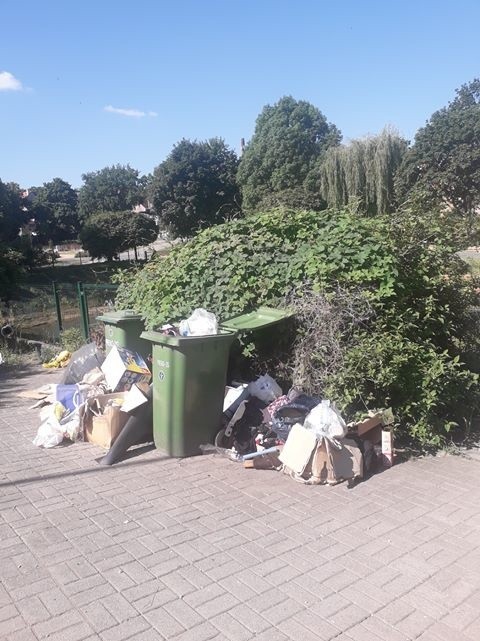 Przy ulicy Sowińskiego śmieci wysypują się z kontenerów i zalegają wokół śmietników.