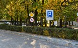 Podwyżka opłat za postój w Strefie Płatnego Parkowania w Wieliczce. Najbardziej - o 100 proc. - wrośnie cena za abonamenty