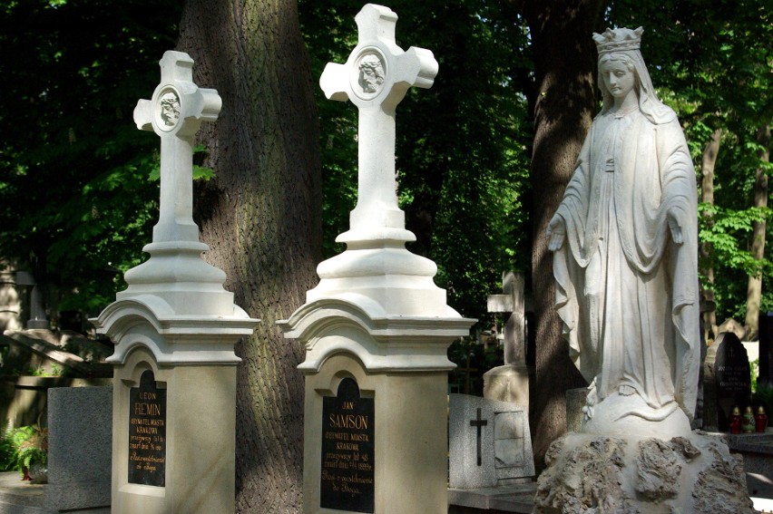 Cmentarz Rakowicki w Krakowie jest nieco tylko młodszy od...