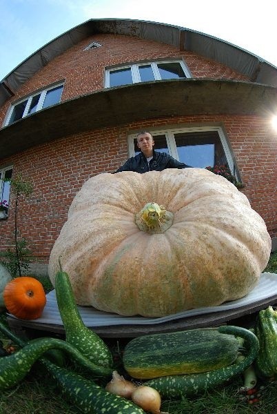 Oto największa dynia w Polsce. Waży 648 kg 200 g [ZDJĘCIA, FILM]