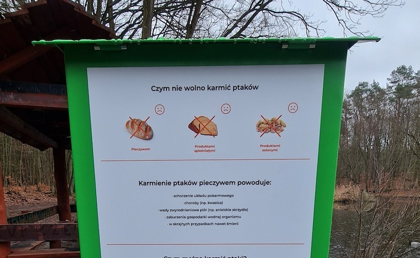 Ptasie bufety, czyli automaty z mieszanką ziaren, stanęły w Szczecinie. Teraz łatwo i bezpiecznie nakarmisz kaczki! 
