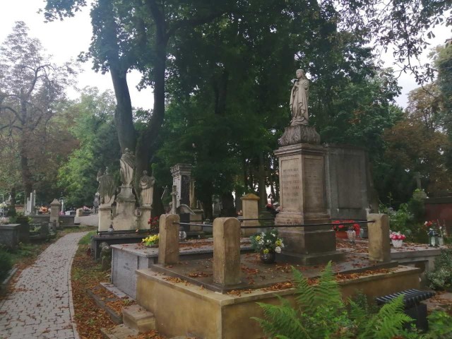 Cztery zabytkowe nagrobki na Cmentarzu Katedralnym w Sandomierzu planuje odrestaurować w tym roku Społeczny Komitet Odnowy Cmentarza Katedralnego w Sandomierzu.