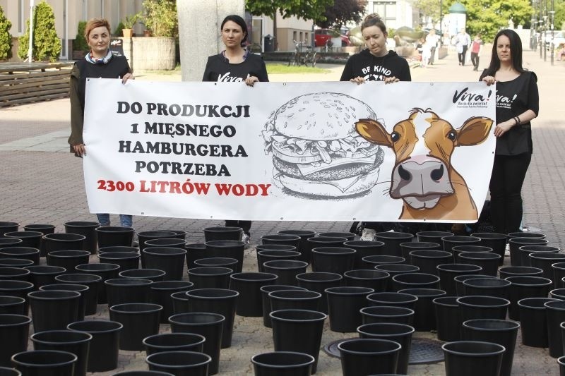 Antymięsny happening w pasażu Schillera - w ramach ogólnopolskiego tygodnia vege