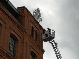 Przy ulicy Radwańskiej w Łodzi strażacy wycinają drzewo na dachu budynku