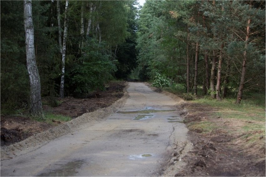 Budują rowerową autostradę o długości 150 km