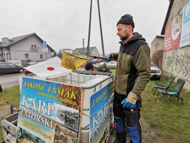 Karp z Zatora uważany jest za najsmaczniejszego w Małopolsce