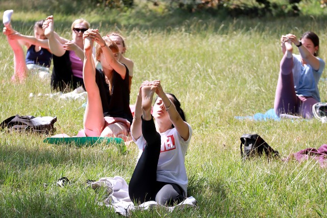 Zajęcia jogi w parkach co roku cieszą się dużym zainteresowaniem.