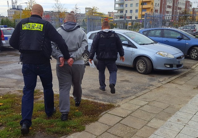 Policjanci z Bydgoszczy wczoraj (niedziela) doprowadzili do prokuratury rejonowej 23-latka, podejrzanego o pobicie swojej 4-miesięcznej córki. Przypomnijmy -  w piątek (28.10) wieczorem policjanci z Bydgoszczy dostali od pogotowia informację, że do szpitala z poważnymi obrażeniami głowy trafiła czteromiesięczna dziewczynka. Rodzice dziecka twierdzili, że dzień wcześniej dziewczynkę uderzyła kubkiem jej 2-letnia siostra.Policjanci powołali biegłego, który miał określić, czy obrażenia u niemowlęcia mogły powstać we wskazany przez rodziców dziecka sposób. Biegły wykluczył taką możliwość.4-miesięczna dziewczynka w szpitalu. Policja z Bydgoszczy zatrzymała ojca dziecka- W niedzielę przed południem policjanci z komisariatu w Śródmieściu zatrzymali 23-letniego ojca dziewczynki - informuje podinsp. Monika Chlebicz, rzecznik Komendy Wojewódzkiej Policji w Bydgoszczy. -  Mężczyzna składał wyjaśnienia. Policjanci zdecydowali o przedstawieniu mężczyźnie zarzutów uszkodzenia ciała dziecka oraz narażenia na bezpośrednie niebezpieczeństwo.Teraz przesłuchiwani są świadkowie, policjanci gromadzą dowody w tej sprawie. Materiały w tej sprawie jeszcze dziś (poniedziałek) trafią do sądu rodzinnego.