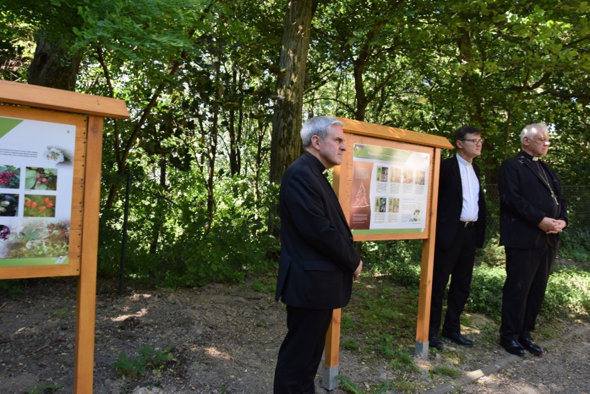 Ścieżka edukacyjno-przyrodnicza powstała w ogrodzie przy "Katoliku" w Sandomierzu. Z atrakcji mogą korzystać mieszkańcy i turyści