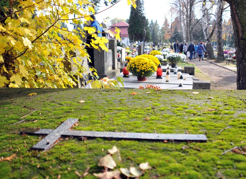 Cmentarz komunalny przy ul. Wyszyńskiego w Krośnie.