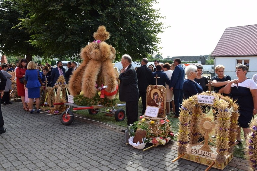 Diecezjalne Dożynki w Wyszkach. Zobacz najpiękniejsze wieńce dożynkowe. Parafia z Bielska zajęła pierwsze miejsce! (zdjęcia)