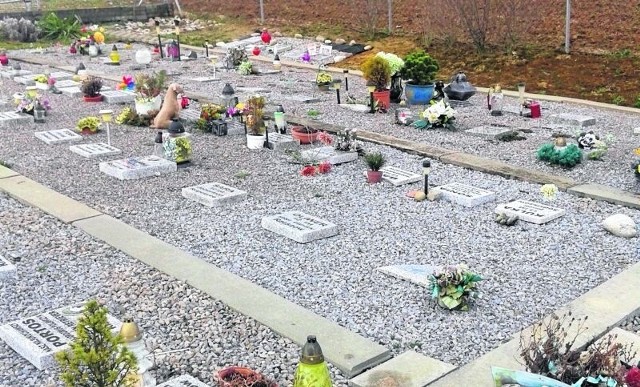 Cmentarz dla zwierząt w Ropczycach nikomu nie przeszkadza